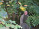 bestandfisch_okt07 (26)