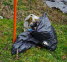 image003