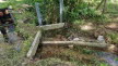 image009