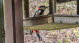 image013