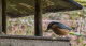image019
