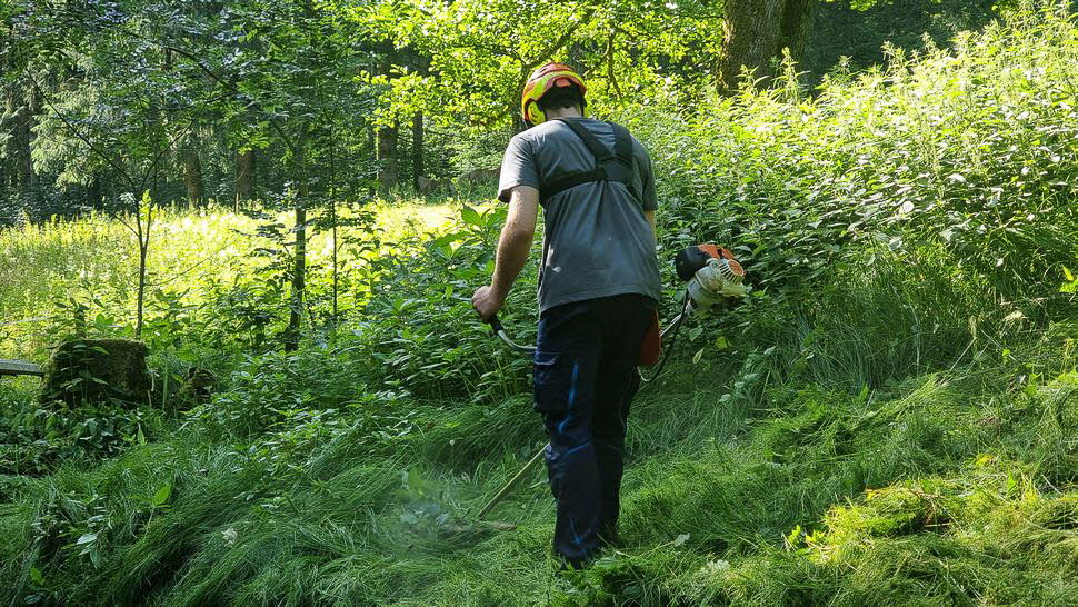 Arbeitseinsatz-Juni26-22