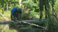 Arbeitseinsatz-Juni26-38