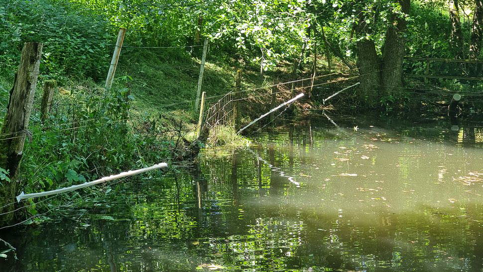 Arbeitseinsatz-Juni26-47