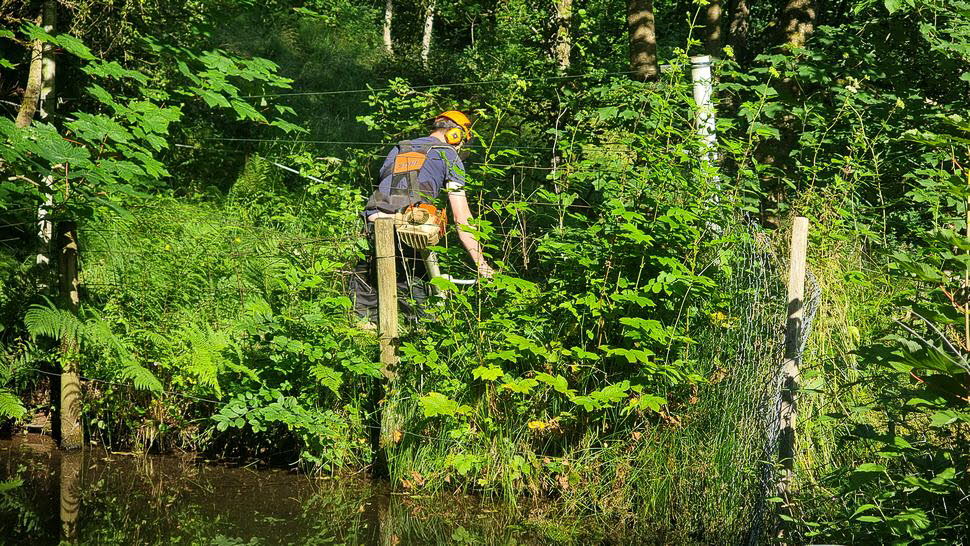 Arbeitseinsatz-Juni26-6