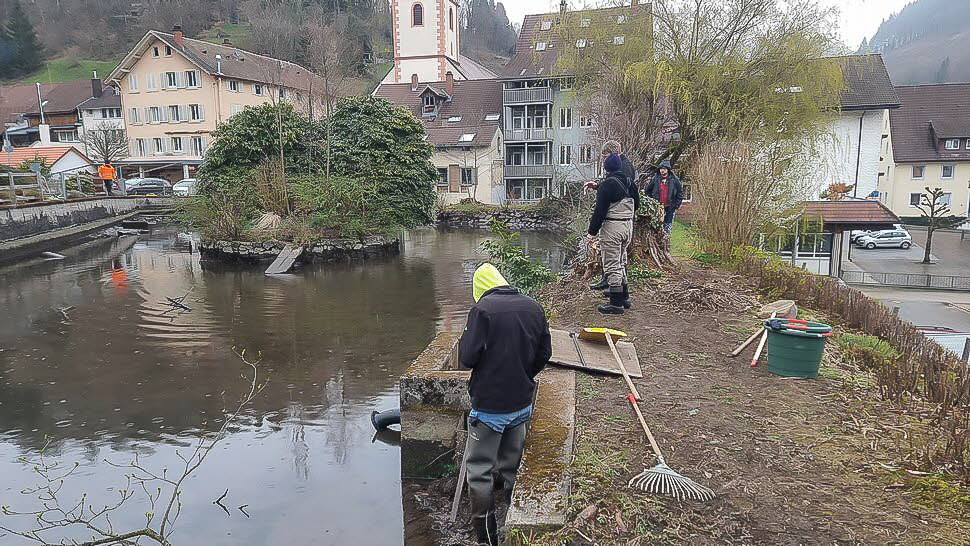 Fr�hjahrs-Wieseputzete26-17